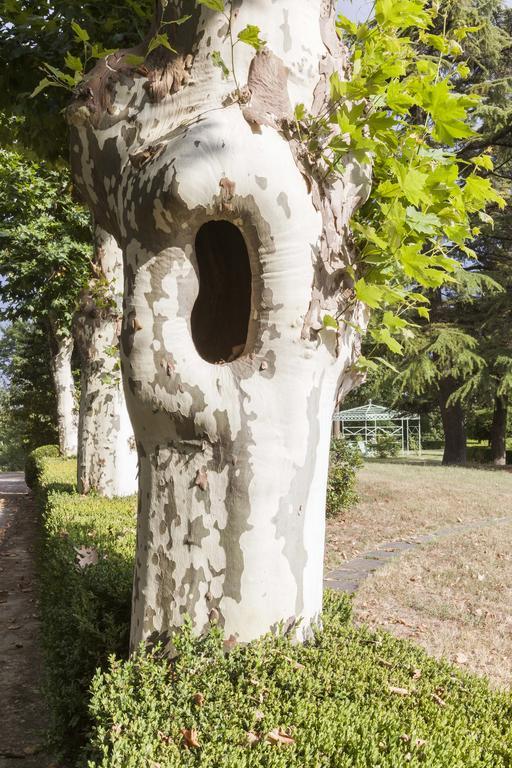 Bricco Pogliani Hotel CastellʼAlfero Exterior foto